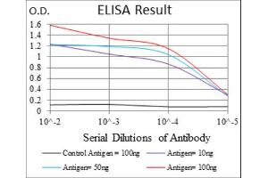 Red: Control Antigen (100ng) ; Purple: Antigen (10ng) ; Green: Antigen (50ng) ; Blue: Antigen (100ng). (Survivin 抗体)
