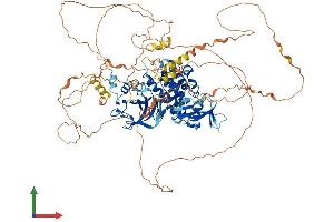 Protein Structure (PS) image for Mitogen-Activated Protein Kinase Kinase Kinase 14 (MAP3K14) (AA 1-942) protein (His tag) (ABIN7565221)