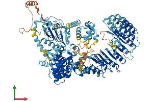 Protein Structure (PS) image for NLR Family, Pyrin Domain Containing 2 (NLRP2) (AA 1-1062) protein (His tag) (ABIN7554674)