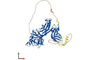 Protein Structure (PS) image for Recombination Signal Binding Protein For Immunoglobulin kappa J Region (RBPJ) (AA 1-526) protein (His tag) (ABIN7563108)
