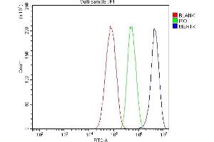 Flow Cytometry analysis of HepG2 cells using anti-MERTK antibody (ABIN7600623). (MERTK 抗体  (AA 21-489))