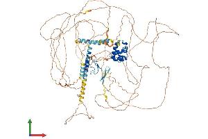 AlphaFold protein structure predicition of Mouse Recombinant Phc3 Protein, UniprotID Q8CHP6 (PHC3 Protein (AA 1-981) (His tag))
