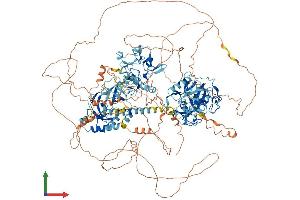 AlphaFold protein structure predicition of Mouse Recombinant Nsd3 Protein, UniprotID Q6P2L6