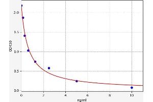 Triiodothyronine T3 ELISA 试剂盒