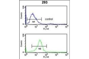 CD49f Antibody (C-term) (ABIN653202 and ABIN2842747) flow cytometry analysis of 293 cells (bottom histogram) compared to a negative control cell (top histogram). (ITGA6 抗体  (C-Term))