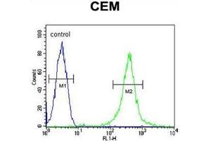 Flow Cytometry (FACS) image for anti-Amylase, alpha 2B (Pancreatic) (AMY2B) (AA 77-105), (N-Term) antibody (ABIN950375)