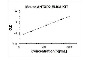 Typical Standard Curve