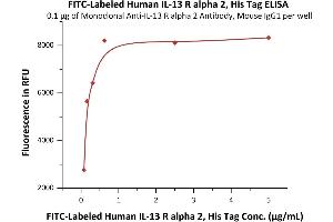 Immobilized Monoclonal Anti-IL-13 R alpha 2 Antibody, Mouse IgG1 at 1 μg/mL (100 μL/well) can bind Fed Human IL-13 R alpha 2, His Tag (ABIN6950960,ABIN6952267) with a linear range of 0. (IL13RA2 Protein (AA 27-343) (FITC,His tag))