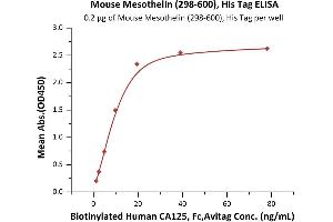 Immobilized Mouse Mesothelin (298-600), His Tag (ABIN6973156) at 2 μg/mL (100 μL/well) can bind Biotinylated Human CA125, Fc,Avitag (ABIN5954926,ABIN6253567) with a linear range of 0. (Mesothelin Protein (MSLN) (AA 298-600) (His tag))