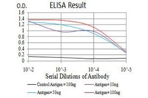 Black line: Control Antigen (100 ng),Purple line: Antigen (10 ng), Blue line: Antigen (50 ng), Red line:Antigen (100 ng) (BCL2L10 抗体  (AA 31-186))