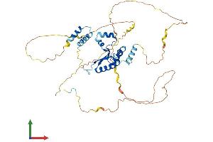 Protein Structure (PS) image for KH Domain Containing, RNA Binding, Signal Transduction Associated 1 (KHDRBS1) (AA 1-443) protein (His tag) (ABIN7563875)