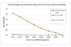 ELISA of single stranded DNA using recombinant 5mC antibody. (Recombinant 5-Methylcytosine 抗体)