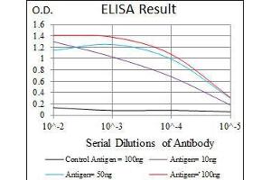 Black line: Control Antigen (100 ng), Purple line: Antigen(10 ng), Blue line: Antigen (50 ng), Red line: Antigen (100 ng), (IGF2 抗体  (AA 25-180))