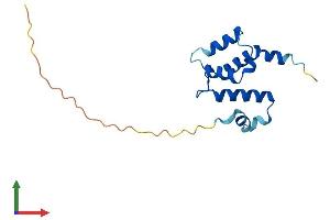 Protein Structure (PS) image for Sentan, Cilia Apical Structure Protein (Sntn) (AA 1-147) protein (His tag) (ABIN7546070)