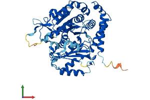 Protein Structure (PS) image for Tubulin, alpha 4a (TUBA4A) (AA 1-448) protein (His tag) (ABIN7556657)