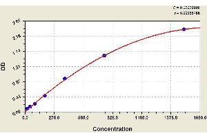 ELISA image for Procollagen III N-Terminal Propeptide (PIIINP) ELISA Kit (ABIN1118233) (PIIINP ELISA 试剂盒)