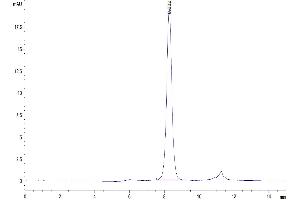 The purity of Human IL-6 is greater than 90 % as determined by SEC-HPLC. (IL-6 Protein (AA 30-212))