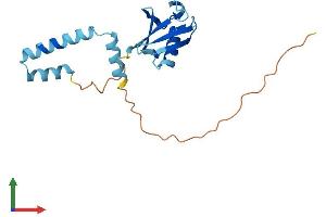 AlphaFold protein structure predicition of Human Recombinant UBL4B Protein, UniprotID Q8N7F7