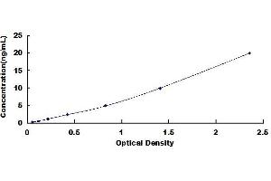 Typical standard curve (ADCY5 ELISA 试剂盒)