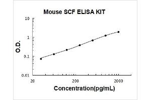 KIT Ligand (KITLG) ELISA Kit