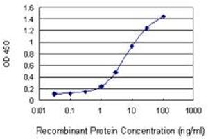 Detection limit for recombinant GST tagged AKR1CL2 is 0. (AKR1E2 抗体  (AA 1-307))
