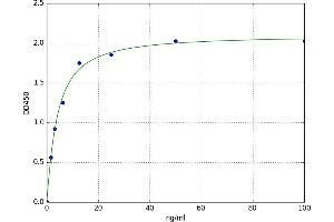 A typical standard curve (CBS ELISA 试剂盒)