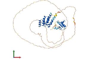 Protein Structure (PS) image for SP110 Nuclear Body Protein (SP110) (AA 1-445) protein (His tag) (ABIN7558931)