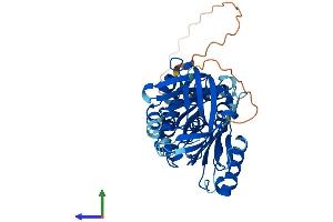 Protein Structure (PS) image for serpin Peptidase Inhibitor, Clade B (Ovalbumin), Member 12 (SERPINB12) (AA 1-423) protein (His tag) (ABIN7561093)