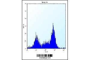 Flow cytometric analysis of Neuro-2a cells (right histogram) compared to a negative control cell (left histogram). (PAK4 抗体  (AA 187-216))