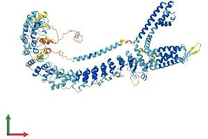 Protein Structure (PS) image for Transient Receptor Potential Cation Channel, Subfamily A, Member 1 (TRPA1) (AA 1-1119) protein (His tag) (ABIN7555865)