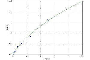 Toll-Like Receptor 9 (TLR9) ELISA Kit