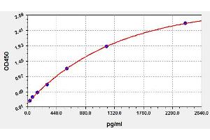 Lysyl Oxidase-Like 2 (LOXL2) ELISA Kit
