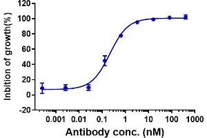 anti-Colony Stimulating Factor 2 Receptor, Beta (CSF2RB) antibody