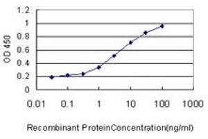 Detection limit for recombinant GST tagged MCF2L is approximately 0. (MCF2L 抗体  (AA 220-319))