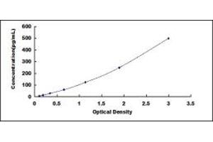 Typical standard curve (IL-13 ELISA 试剂盒)