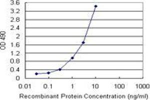 THTPA (Human) Matched Antibody Pair