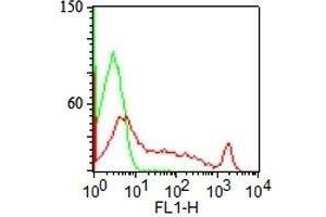 Immunofluorescence (IF) image for anti-ST6 beta-Galactosamide alpha-2,6-Sialyltranferase 1 (ST6GAL1) antibody (ABIN3025660)