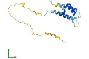 Protein Structure (PS) image for Protein Phosphatase 1, Regulatory (Inhibitor) Subunit 14D (PPP1R14D) (AA 1-146) protein (His tag) (ABIN7558306)