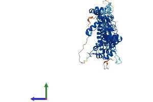 Protein Structure (PS) image for Zinc Finger, DHHC-Type Containing 17 (ZDHHC17) (AA 1-632) protein (His tag) (ABIN7556128)