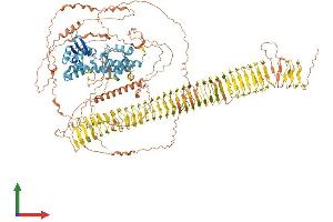 Protein Structure (PS) image for Trophinin (TRO) (AA 1-1431) protein (His tag) (ABIN7555837)