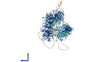 Protein Structure (PS) image for Gem (Nuclear Organelle) Associated Protein 5 (GEMIN5) (AA 1-1508) protein (His tag) (ABIN7553999)