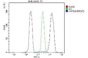 Flow Cytometry analysis of U937 cells using anti-MAP3K8 antibody (ABIN4886663). (MAP3K8 抗体  (AA 9-193))