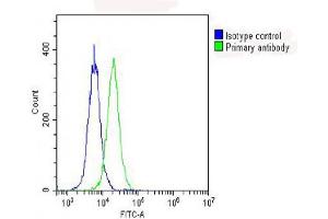Overlay histogram showing Hela cells stained with (ABIN6244073 and ABIN6578602) (green line). (RPS10 抗体  (AA 96-129))