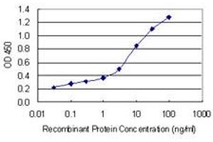 Detection limit for recombinant GST tagged ICOS is 0. (ICOS 抗体  (AA 21-140))