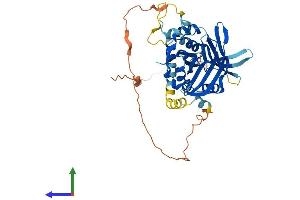 Protein Structure (PS) image for TEA Domain Family Member 4 (TEAD4) (AA 1-434) protein (His tag) (ABIN7555756)
