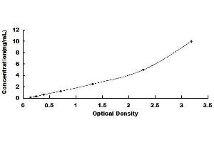 Typical standard curve (Trichohyalin ELISA 试剂盒)