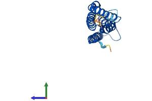 Protein Structure (PS) image for Microsomal Glutathione S-Transferase 3 (MGST3) (AA 1-152) protein (His tag) (ABIN7549387)