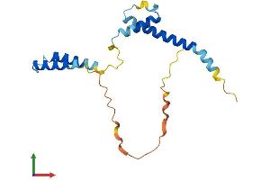 Protein Structure (PS) image for Hairy and Enhancer of Split 2 (HES2) (AA 1-173) protein (His tag) (ABIN7548294)