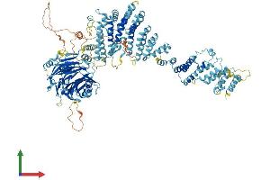 Protein Structure (PS) image for Nucleoporin 133kDa (NUP133) (AA 1-1156) protein (His tag) (ABIN7554802)