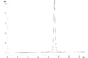 Size-exclusion chromatography-High Pressure Liquid Chromatography (SEC-HPLC) image for CD274 (PD-L1) (AA 19-238) protein (His tag,Biotin) (ABIN7275426)